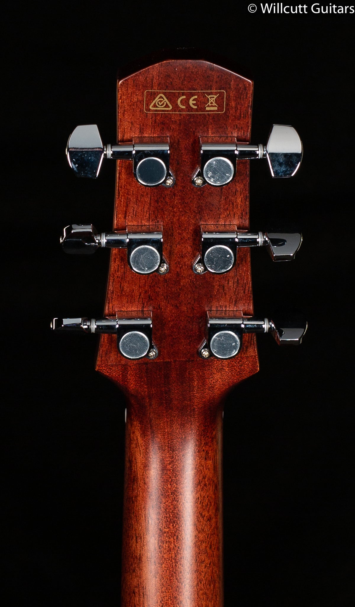 Ibanez Advanced Acoustic Series AAD170CELGS (069)