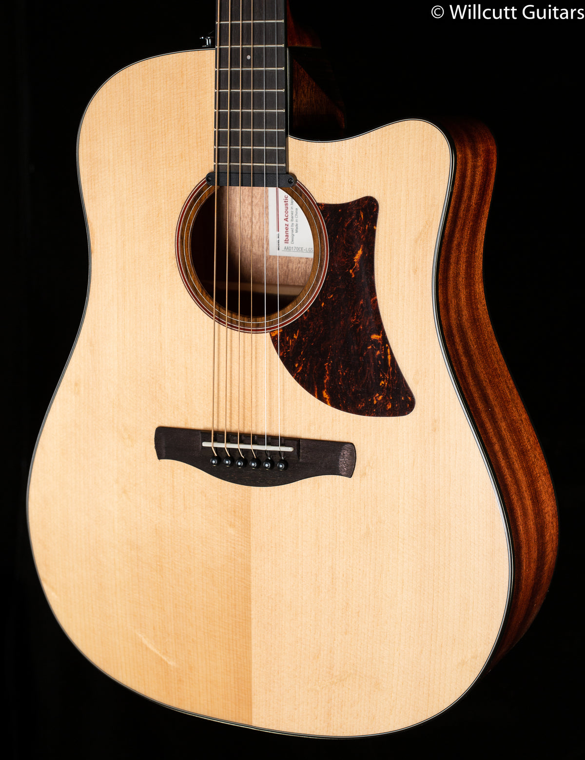 Ibanez Advanced Acoustic Series AAD170CELGS (070)