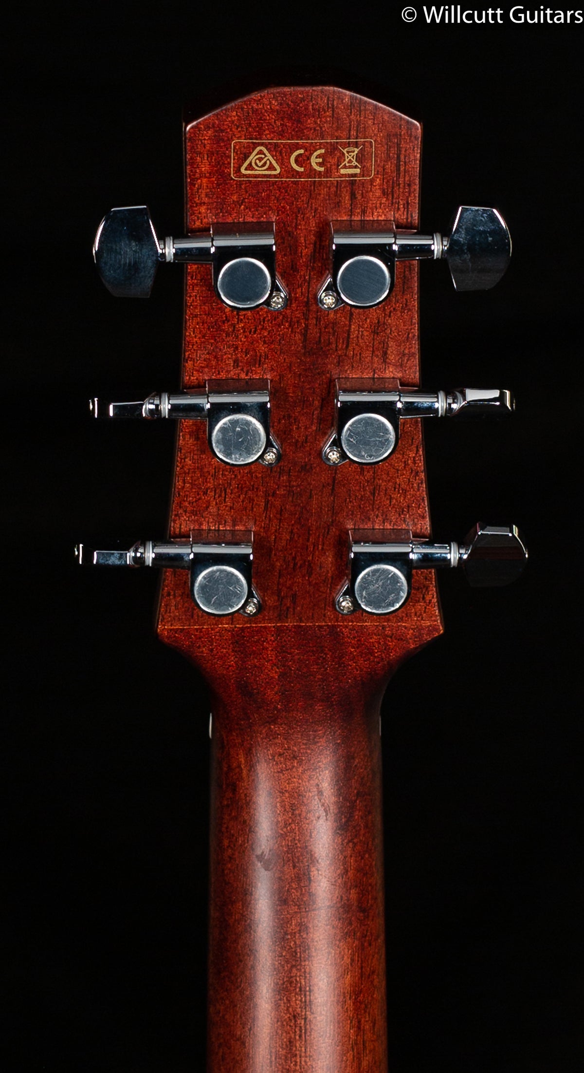 Ibanez Advanced Acoustic Series AAD170CELGS (070)