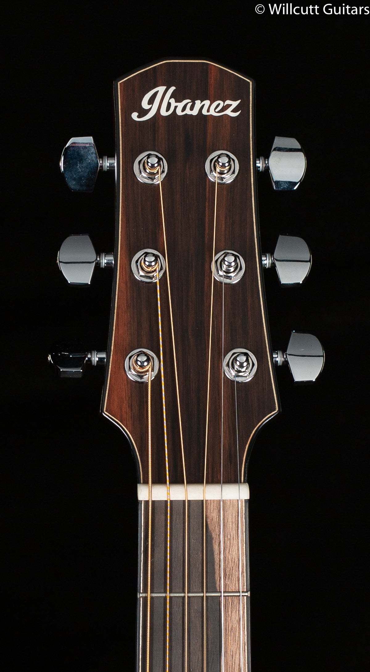 Ibanez Advanced Acoustic Series AAD300CELGS (811)