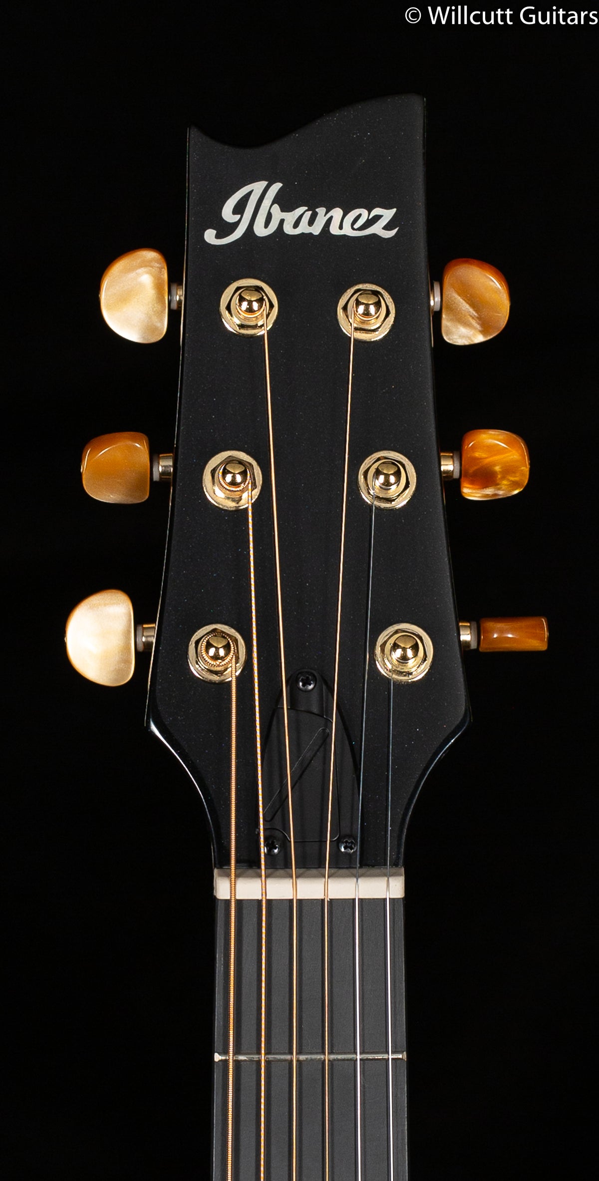 Ibanez EP5 Euphoria Steve Vai Signature Acoustic Guitar Black Pearl