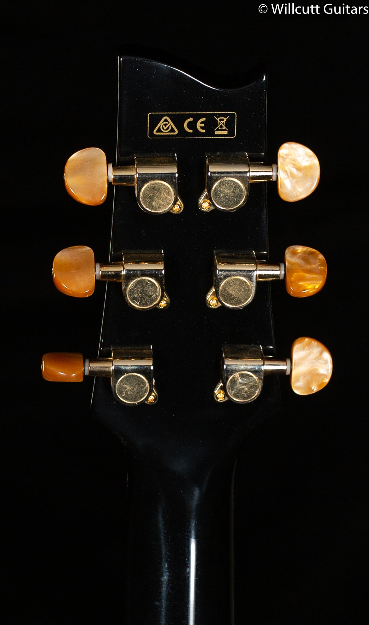 Ibanez EP5 Euphoria Steve Vai Signature Acoustic Guitar Black Pearl