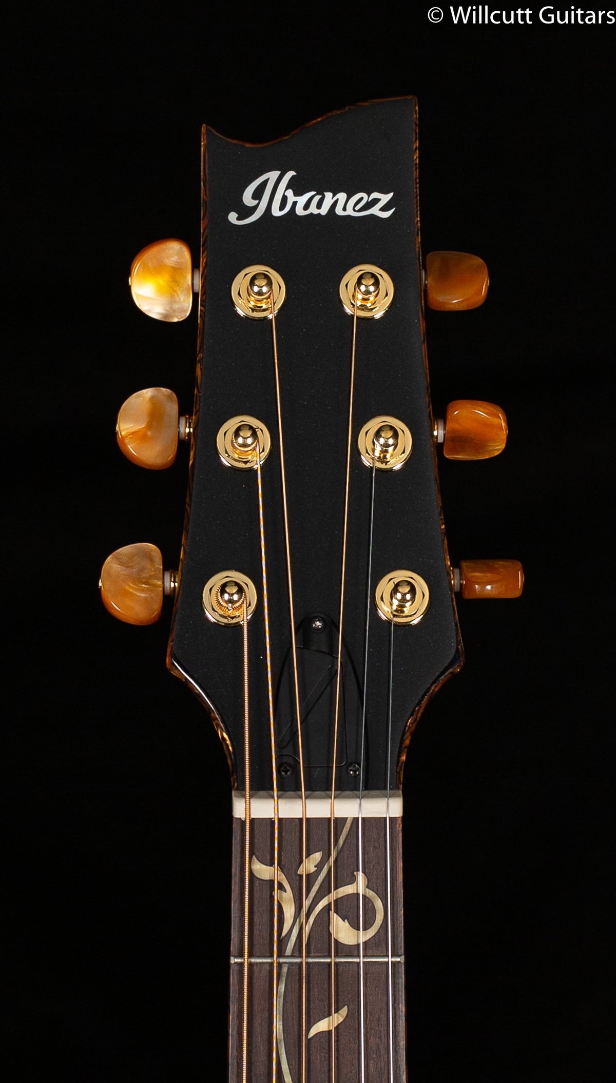 Ibanez EP10BP Euphoria Via Signature Series Acoustic