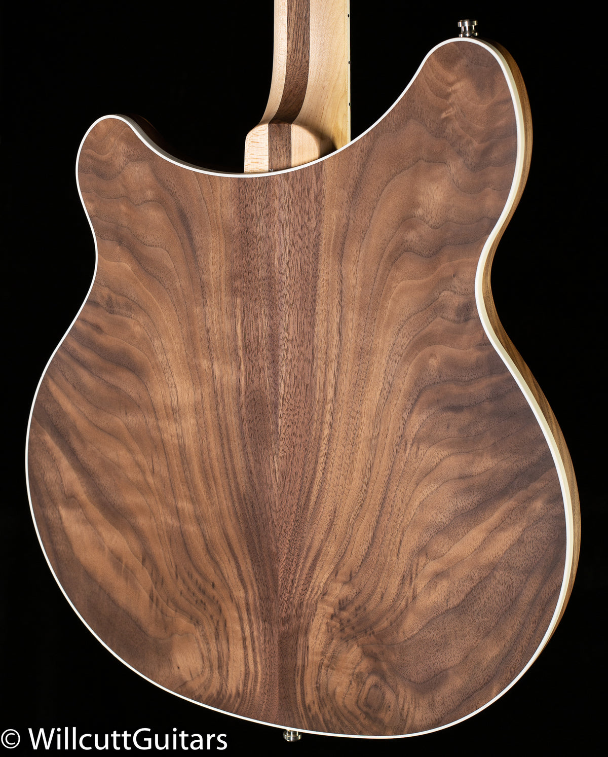 Rickenbacker 360/12W