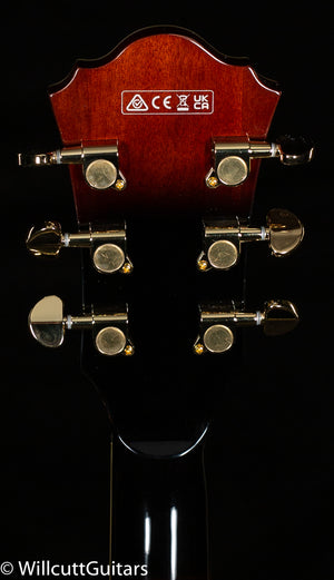 Ibanez AG95QA Artcore Expressionist Dark Brown Sunburst Electric Guitar (787)