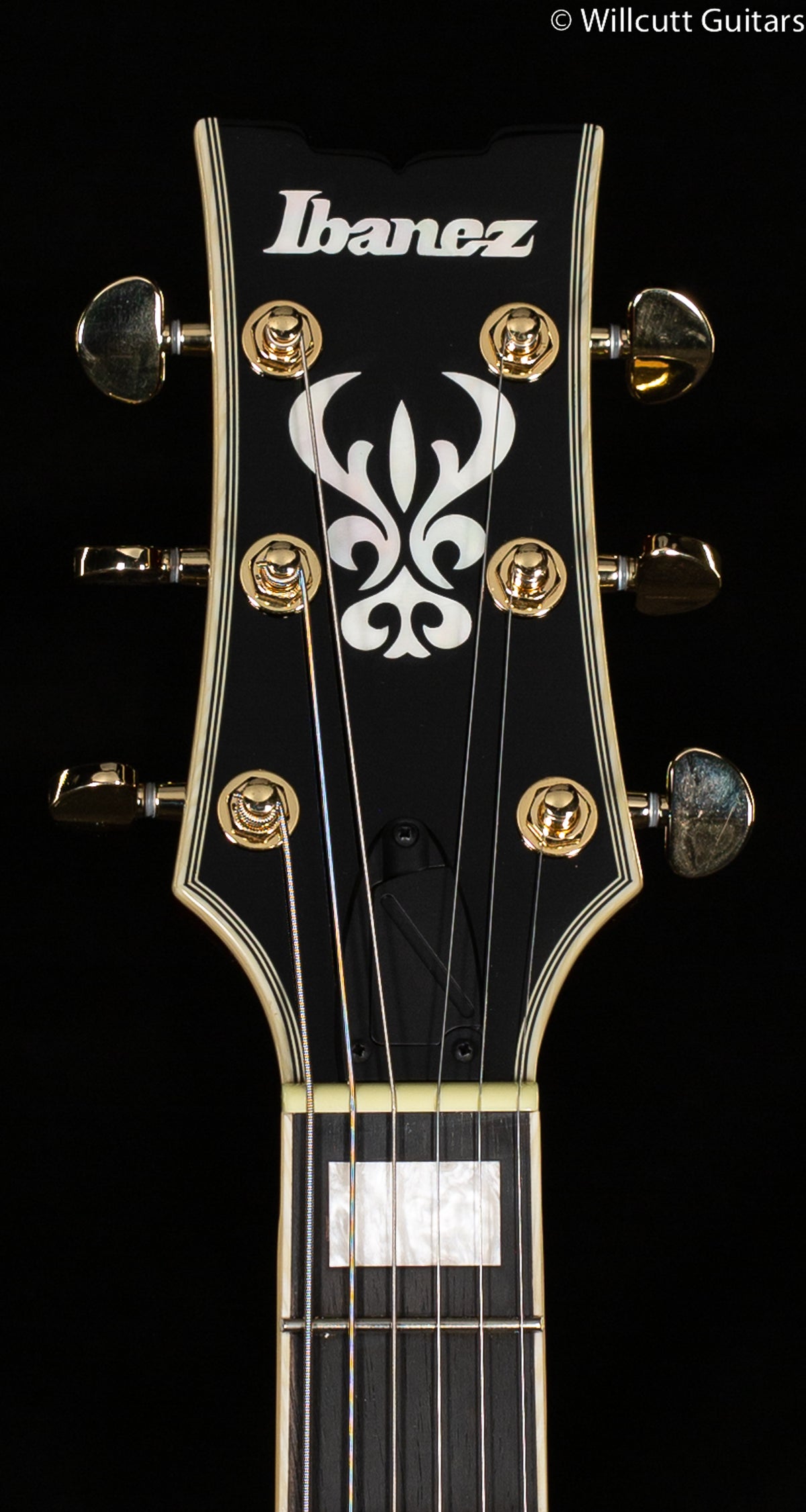 Ibanez Artcore Expressionist AM93ME Natural (877)