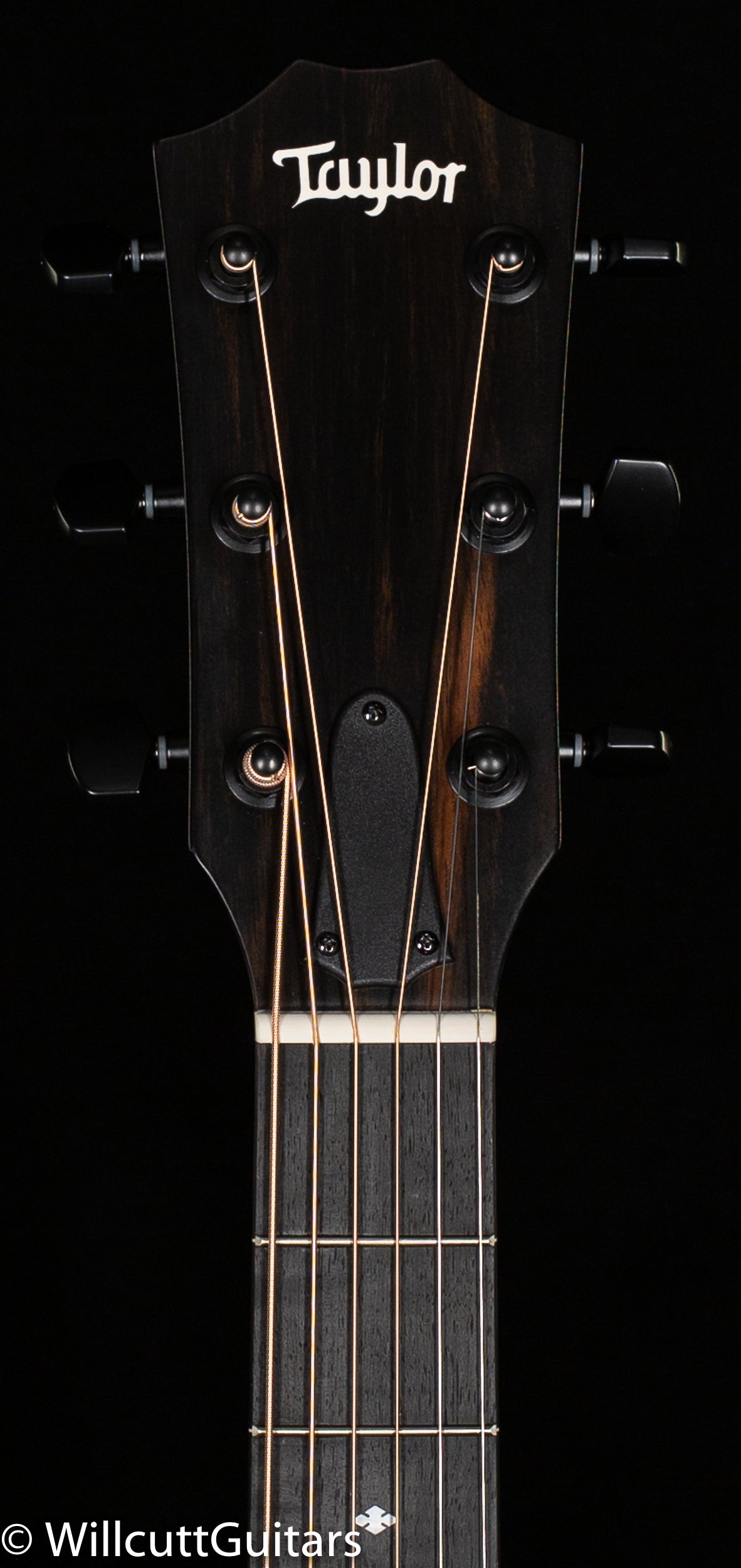 Taylor 214ce DLX LTD,Maple/Sitka,Trans Grey Top (156)
