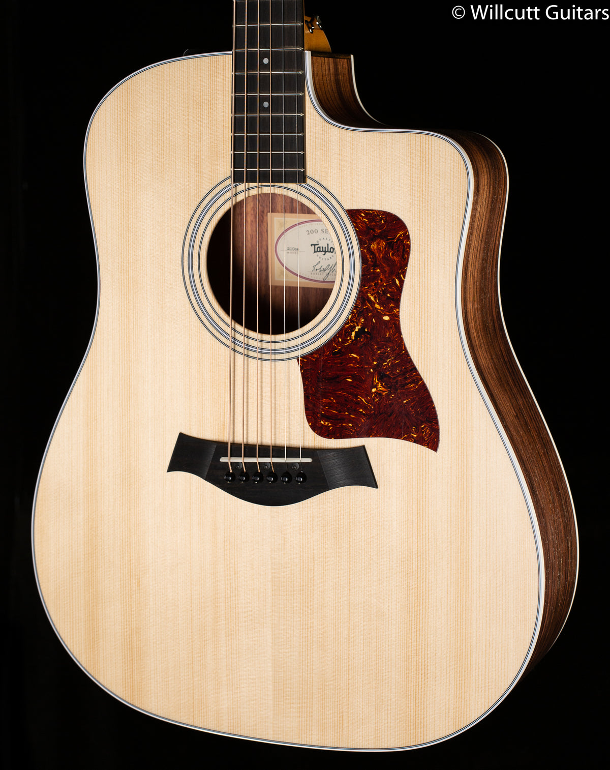 Taylor 210ce (101)