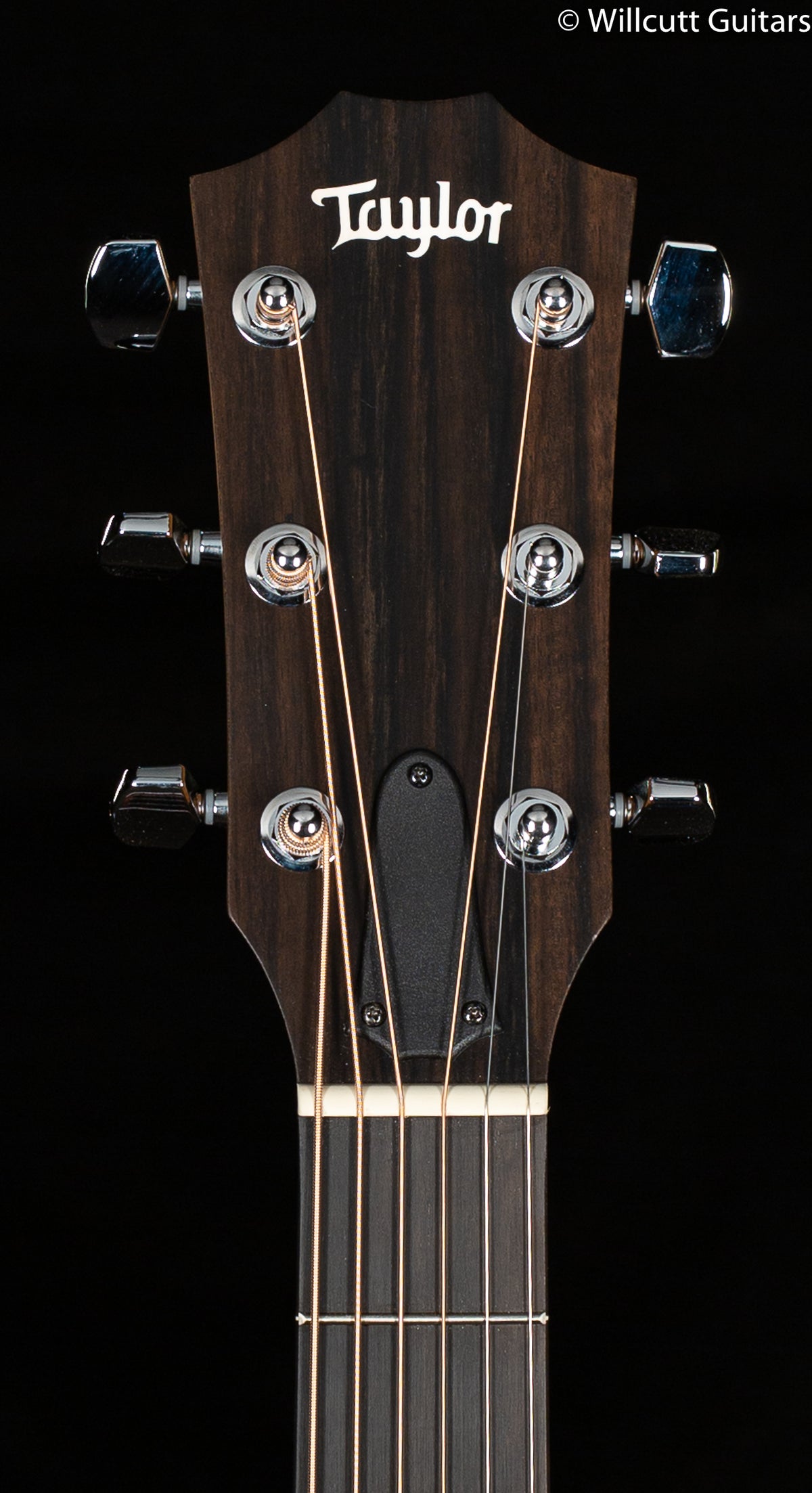 Taylor 210ce (101)