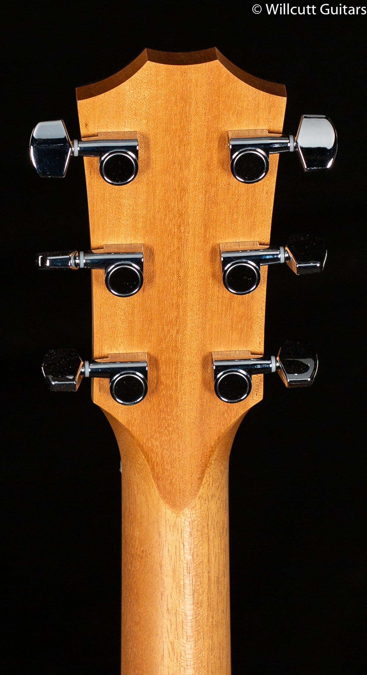 Taylor 210ce (101)