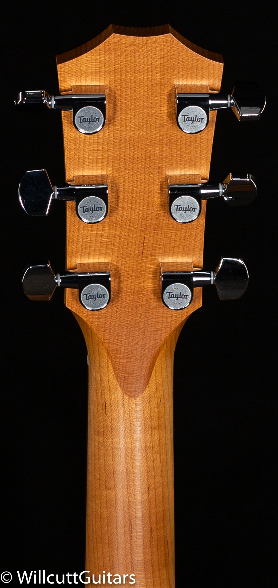 Taylor 114ce-SB Special Edition Walnut/Spruce Satin Sunburst Top