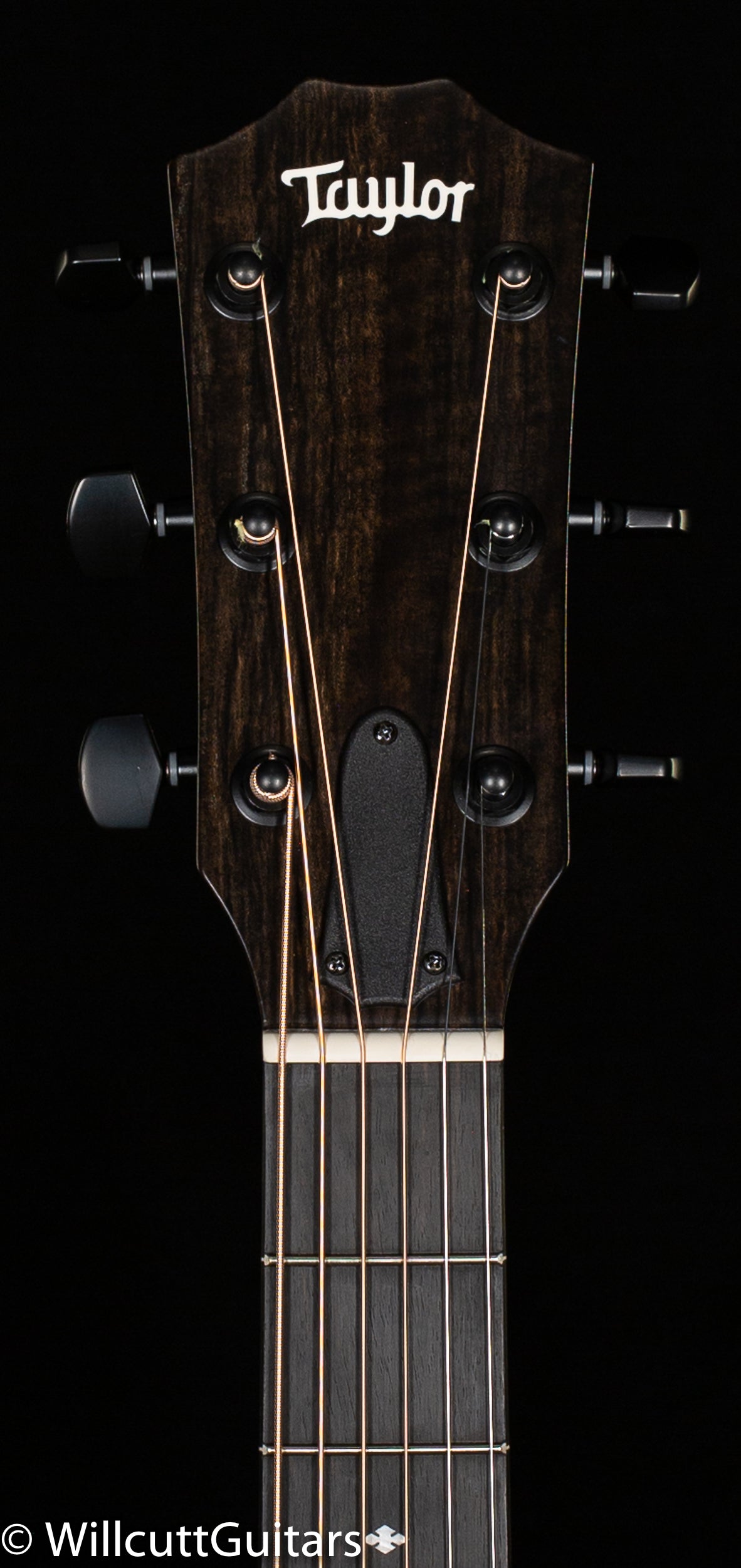 Taylor 224ce DLX LTD Mahogany/Sapele Trans Red (339)