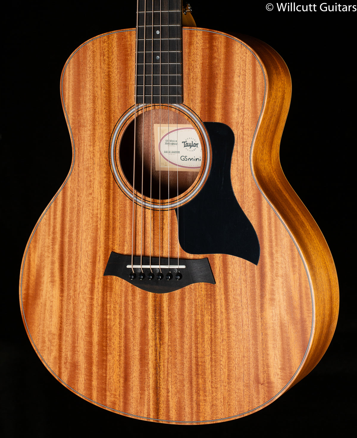 Taylor GS-Mini Mahogany Electric