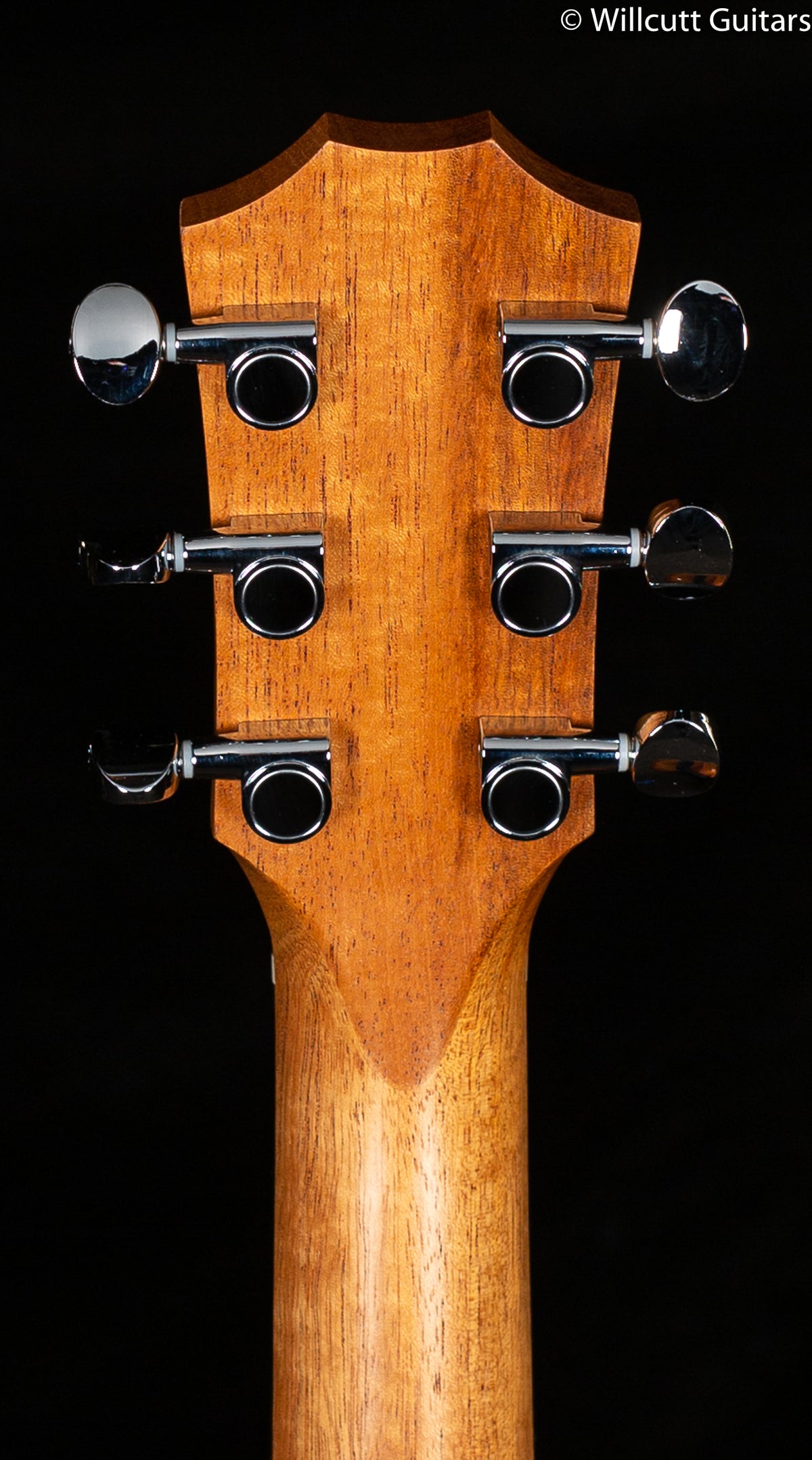 Taylor GS-Mini Mahogany Electric