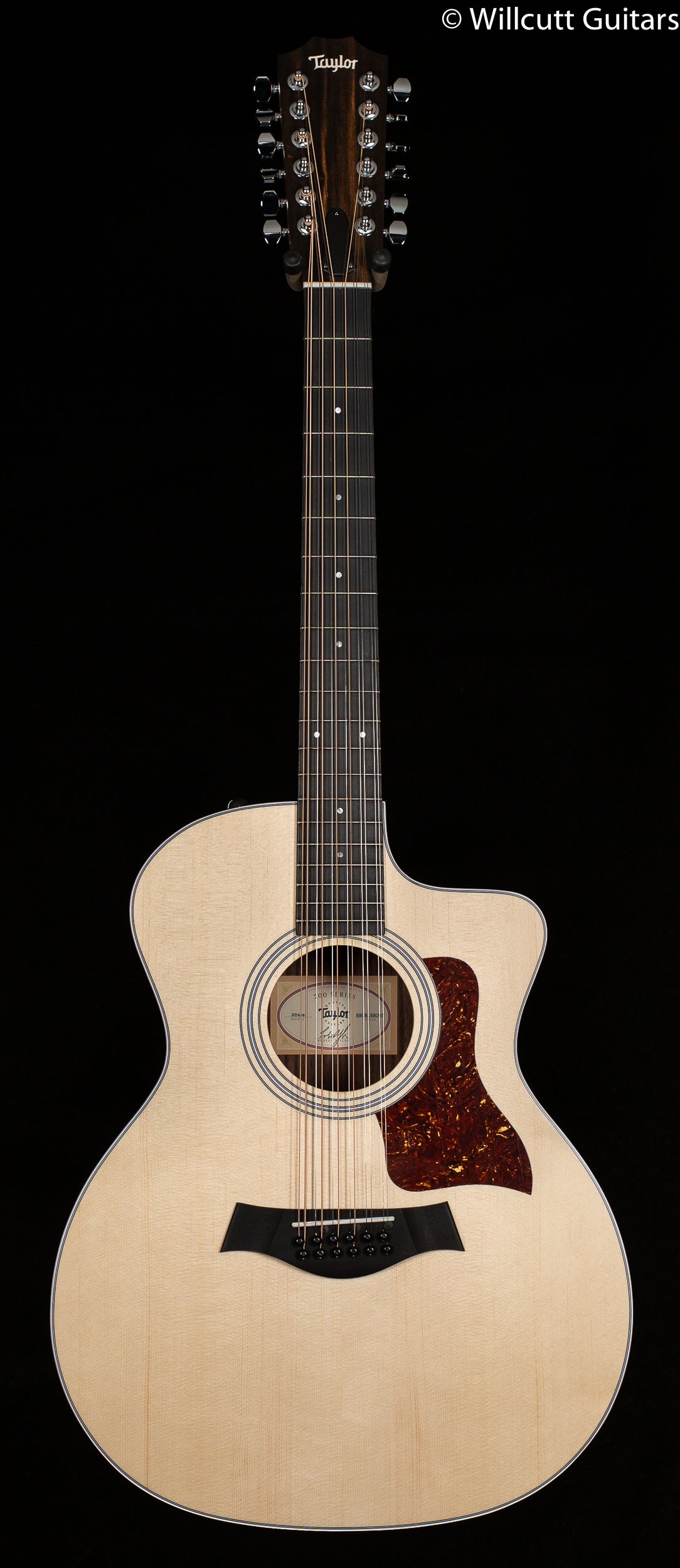 Taylor Grand Auditorium 254ce 12 String