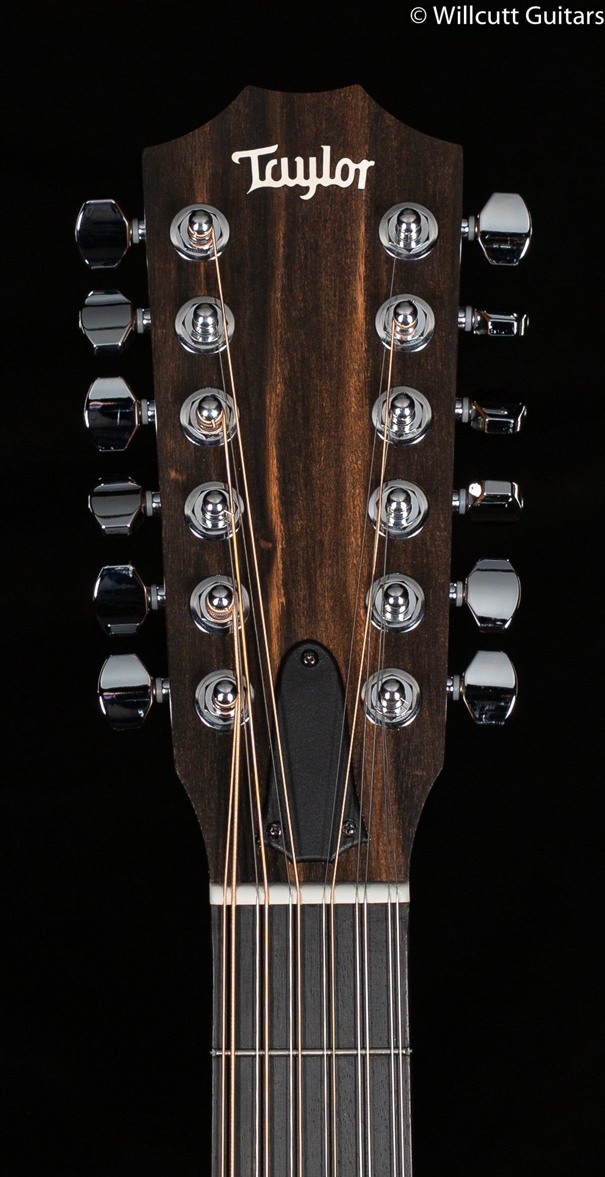 Taylor Grand Auditorium 254ce 12 String