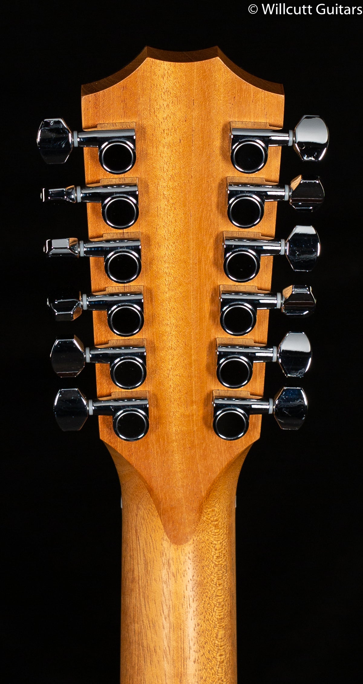 Taylor Grand Auditorium 254ce 12 String