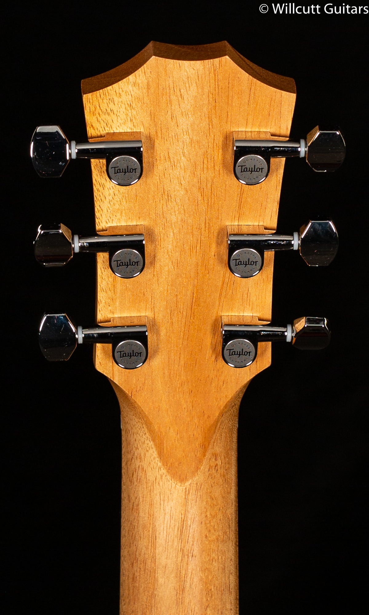 Taylor GS Mini-e Koa Plus