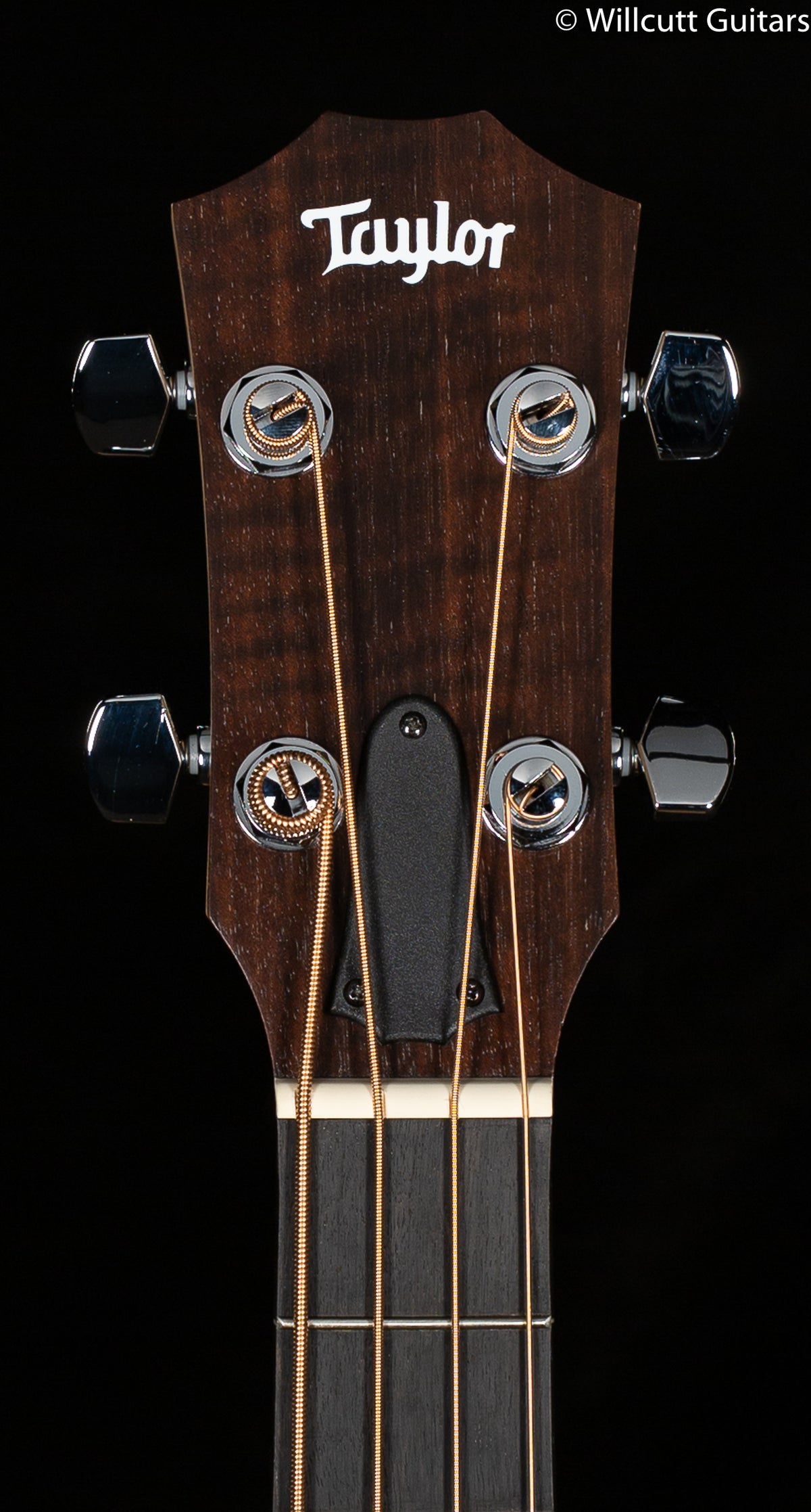 Taylor GS Mini-e Maple Bass Maple/Sitka