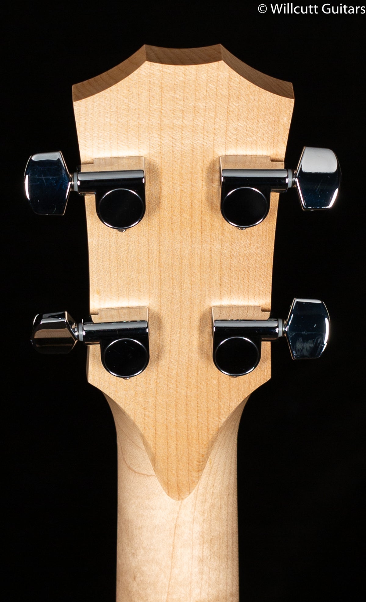 Taylor GS Mini-e Maple Bass Maple/Sitka
