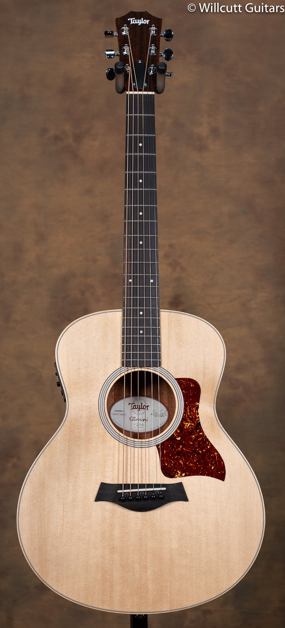 Taylor GS Mini-E Rosewood