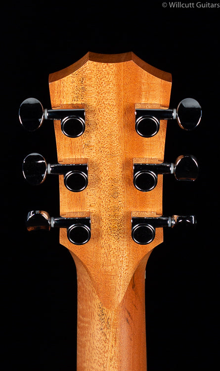 Taylor GS-Mini LTD Quilted Sapele Electric