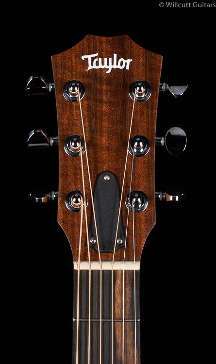 Taylor GS-Mini LTD Quilted Sapele Electric