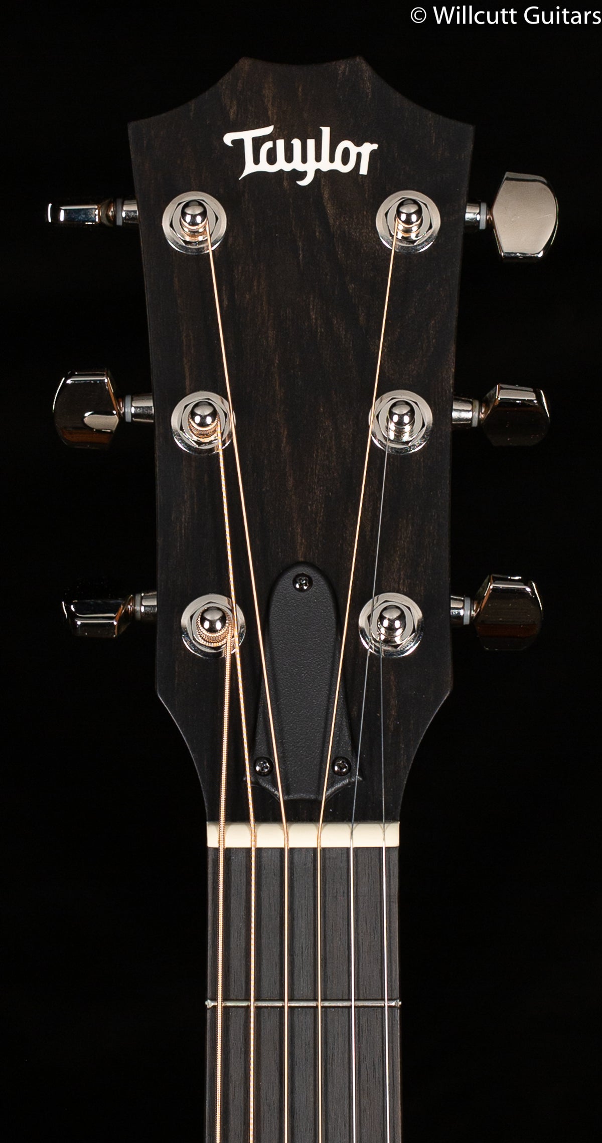 Taylor 214ce Plus (159)