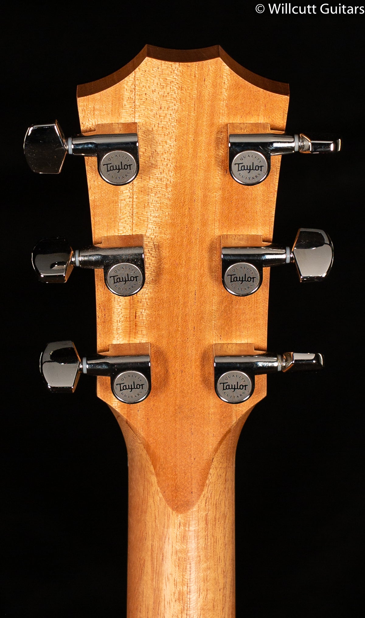 Taylor 214ce Plus (159)