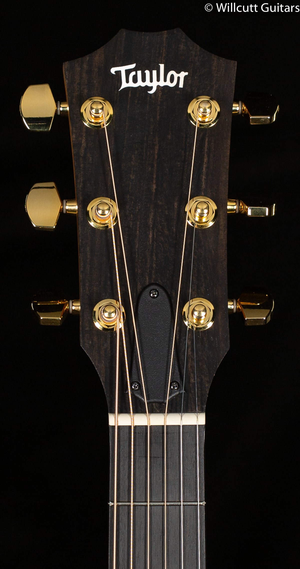 2022 Taylor 214ce-SB DLX