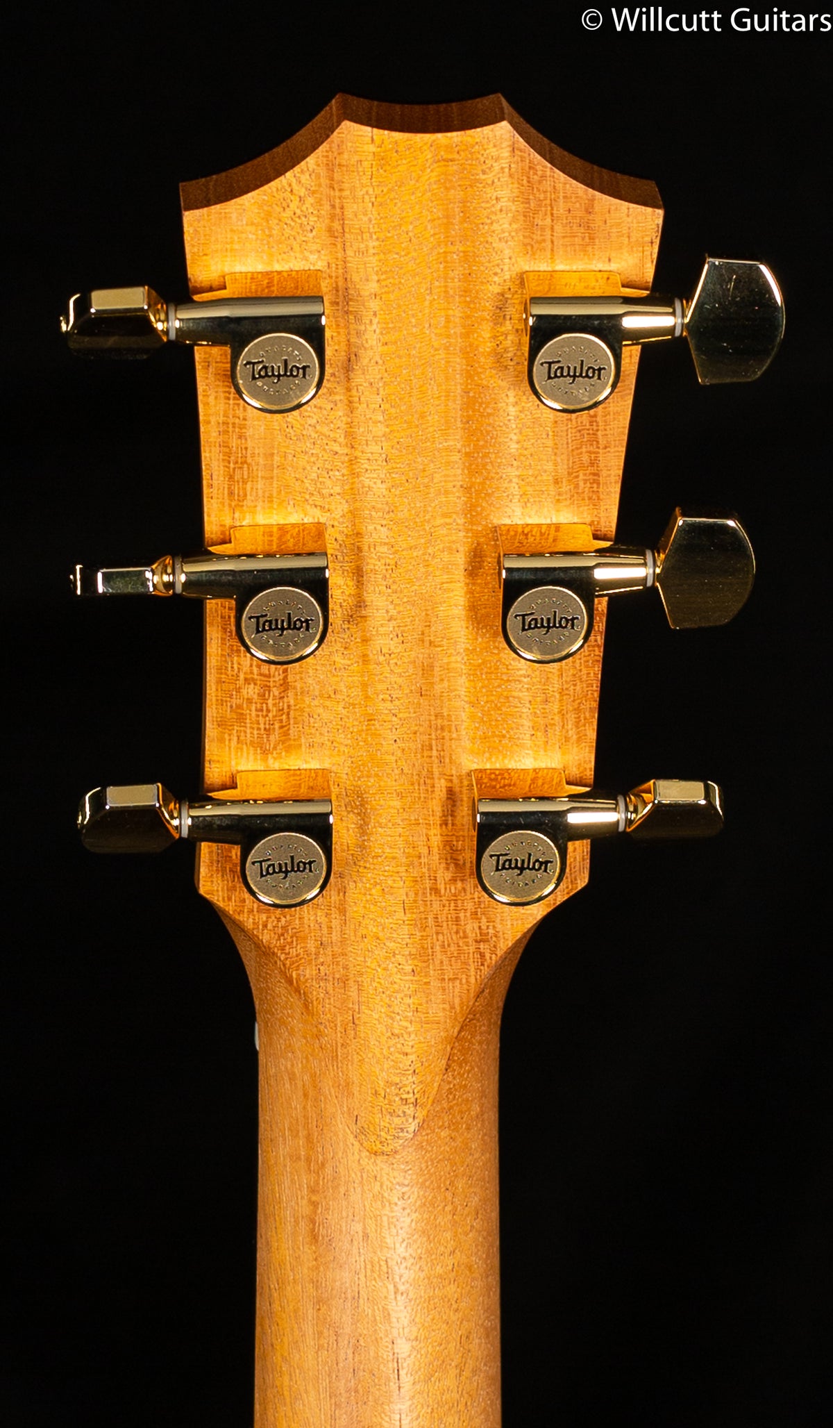 2022 Taylor 214ce-SB DLX