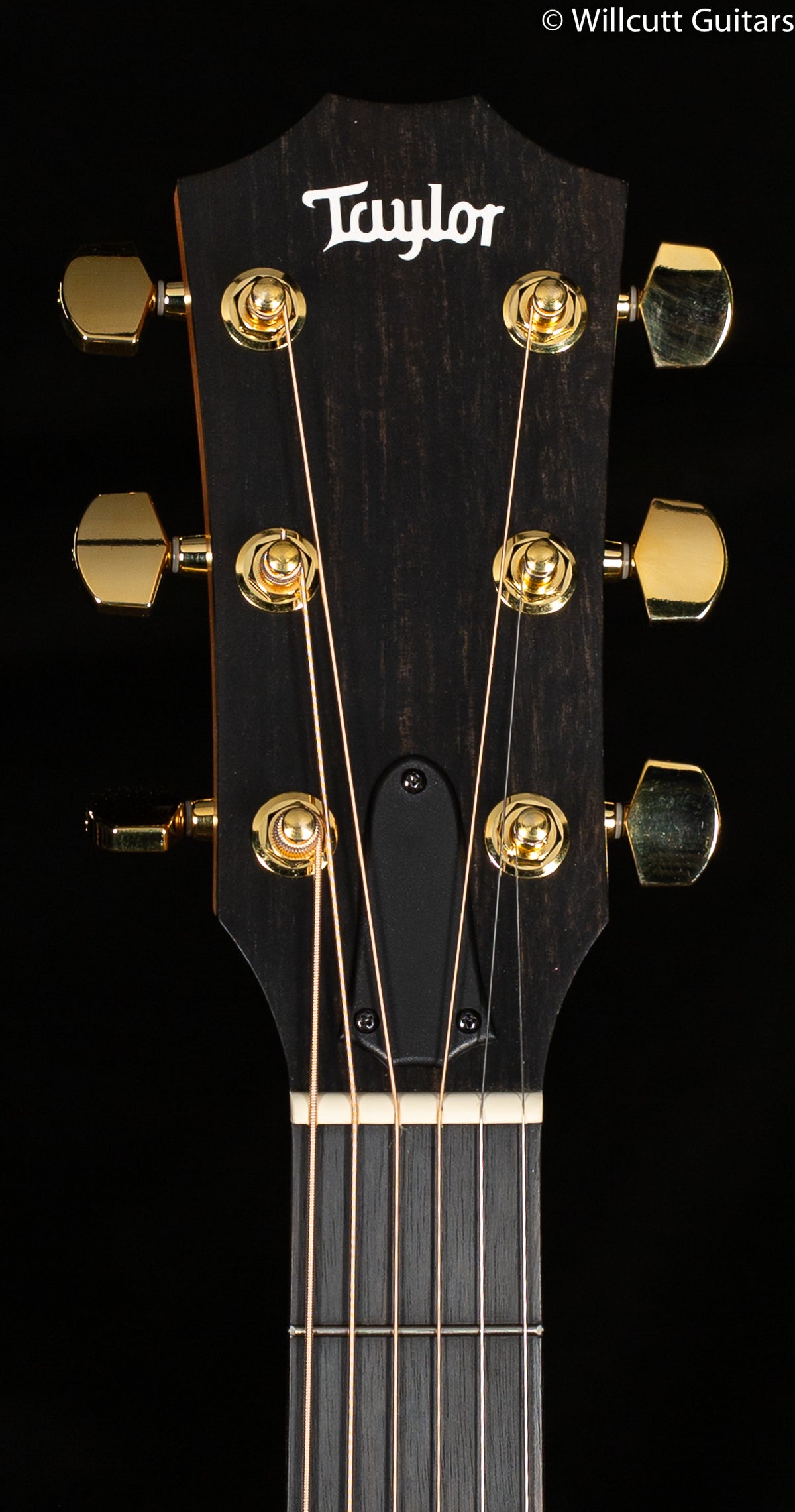 Taylor 214ce DLX ES2