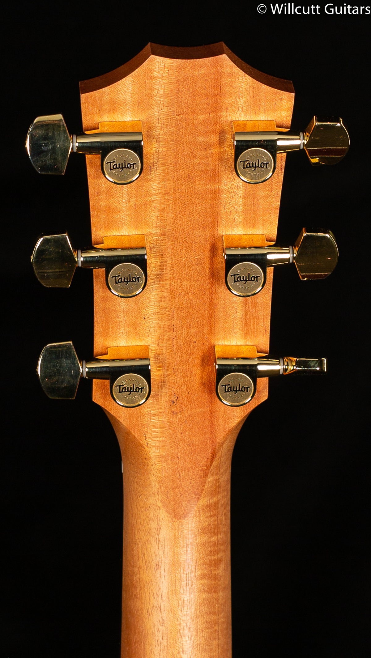 Taylor 214ce DLX ES2