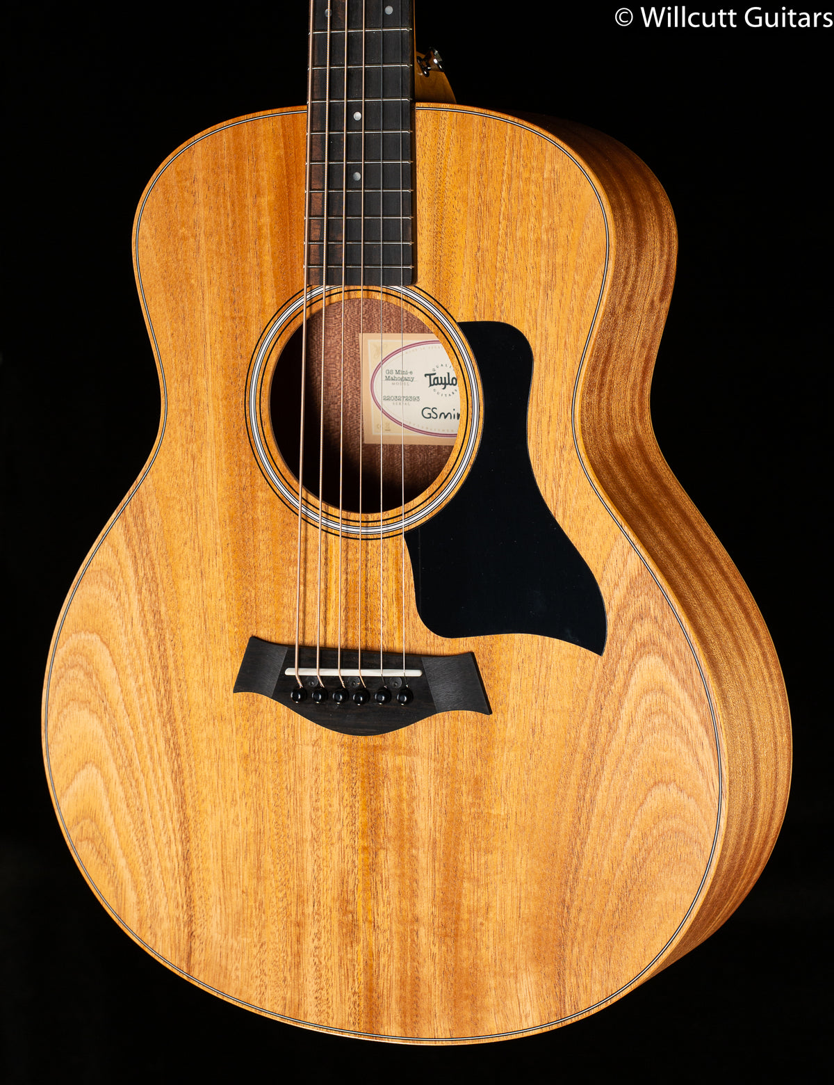 Taylor GS-Mini Mahogany Electric