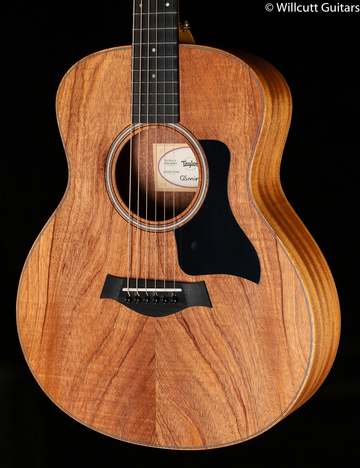Taylor GS-Mini Mahogany Electric
