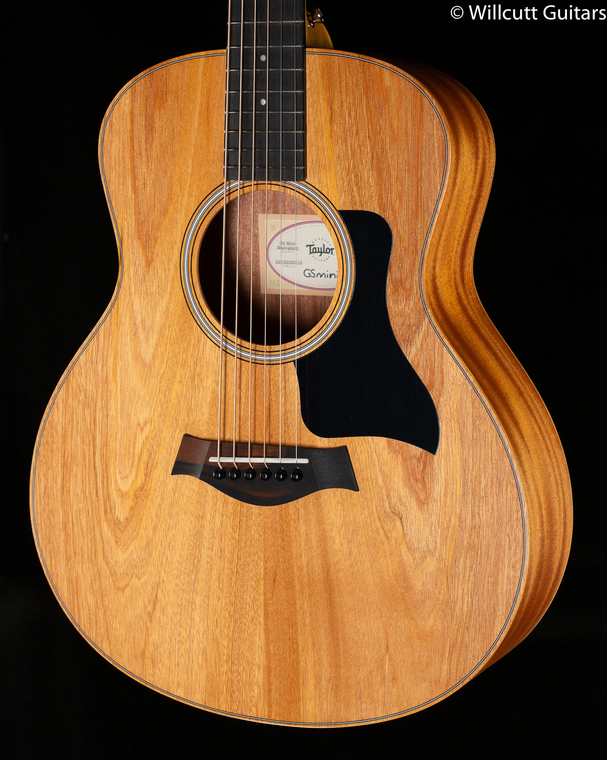 Taylor GS-Mini Mahogany Sapele