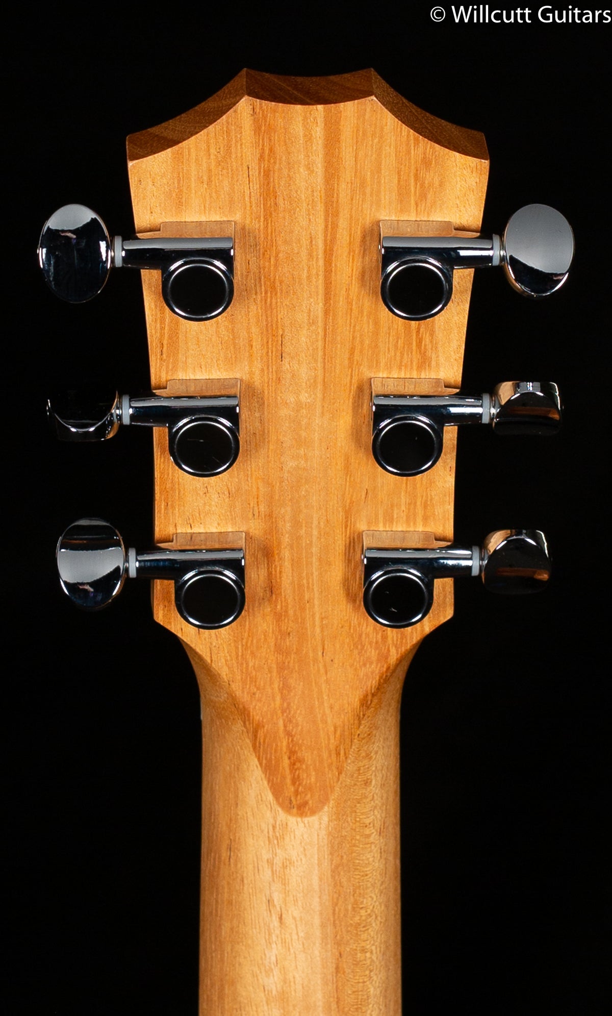 Taylor GS-Mini Mahogany Sapele