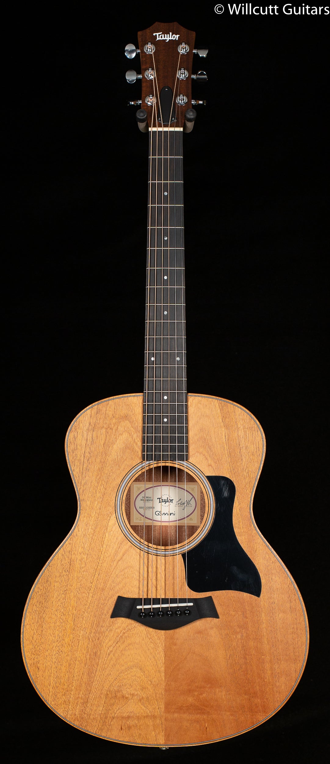 Taylor GS-Mini Mahogany Sapele