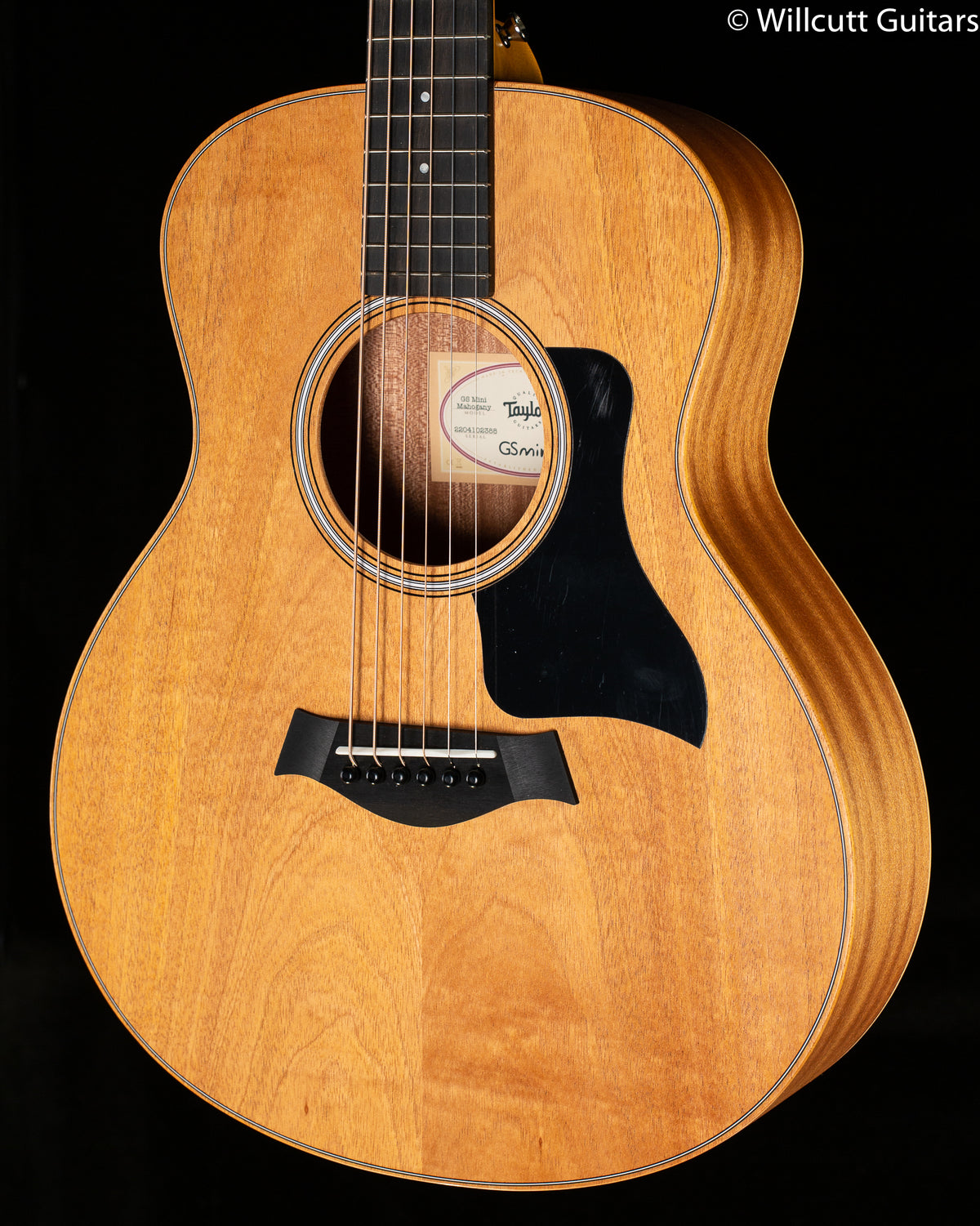Taylor GS-Mini Mahogany Sapele