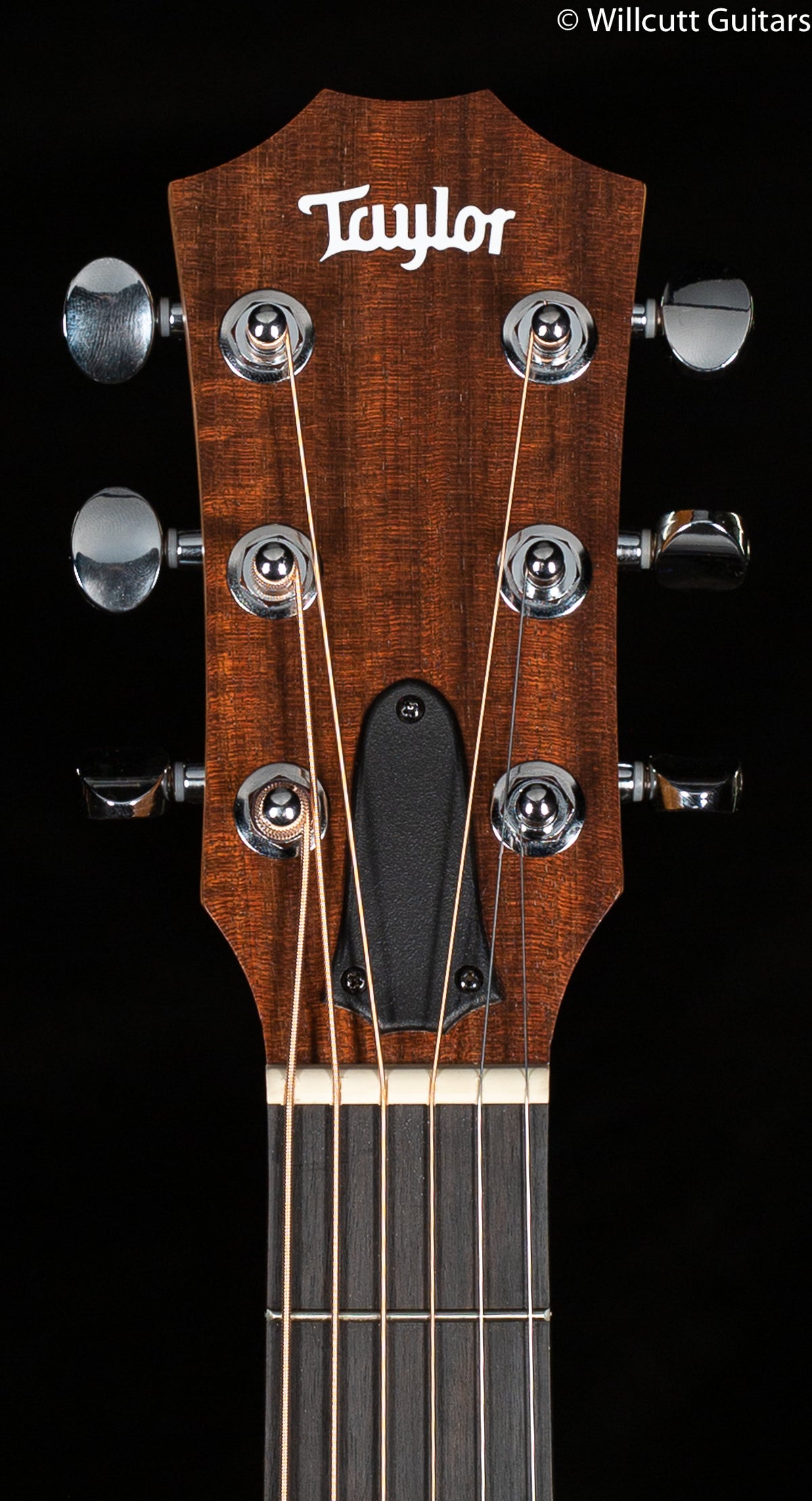 Taylor GS-Mini Mahogany Sapele