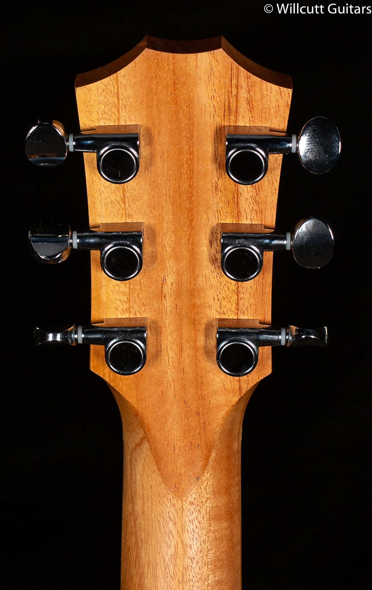 Taylor GS-Mini Mahogany Sapele