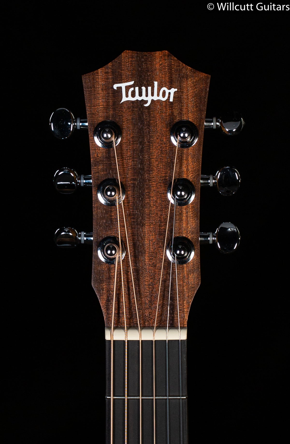 Taylor BT1e
