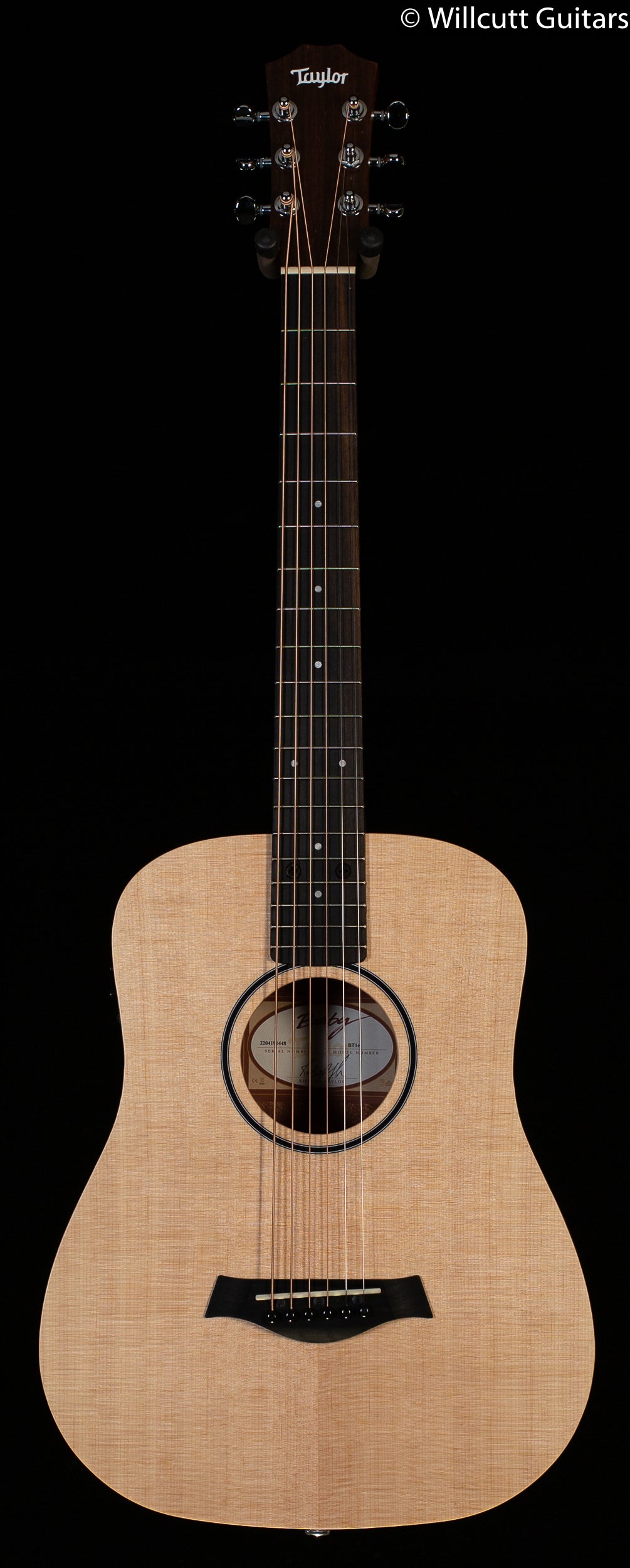 Taylor BT1e