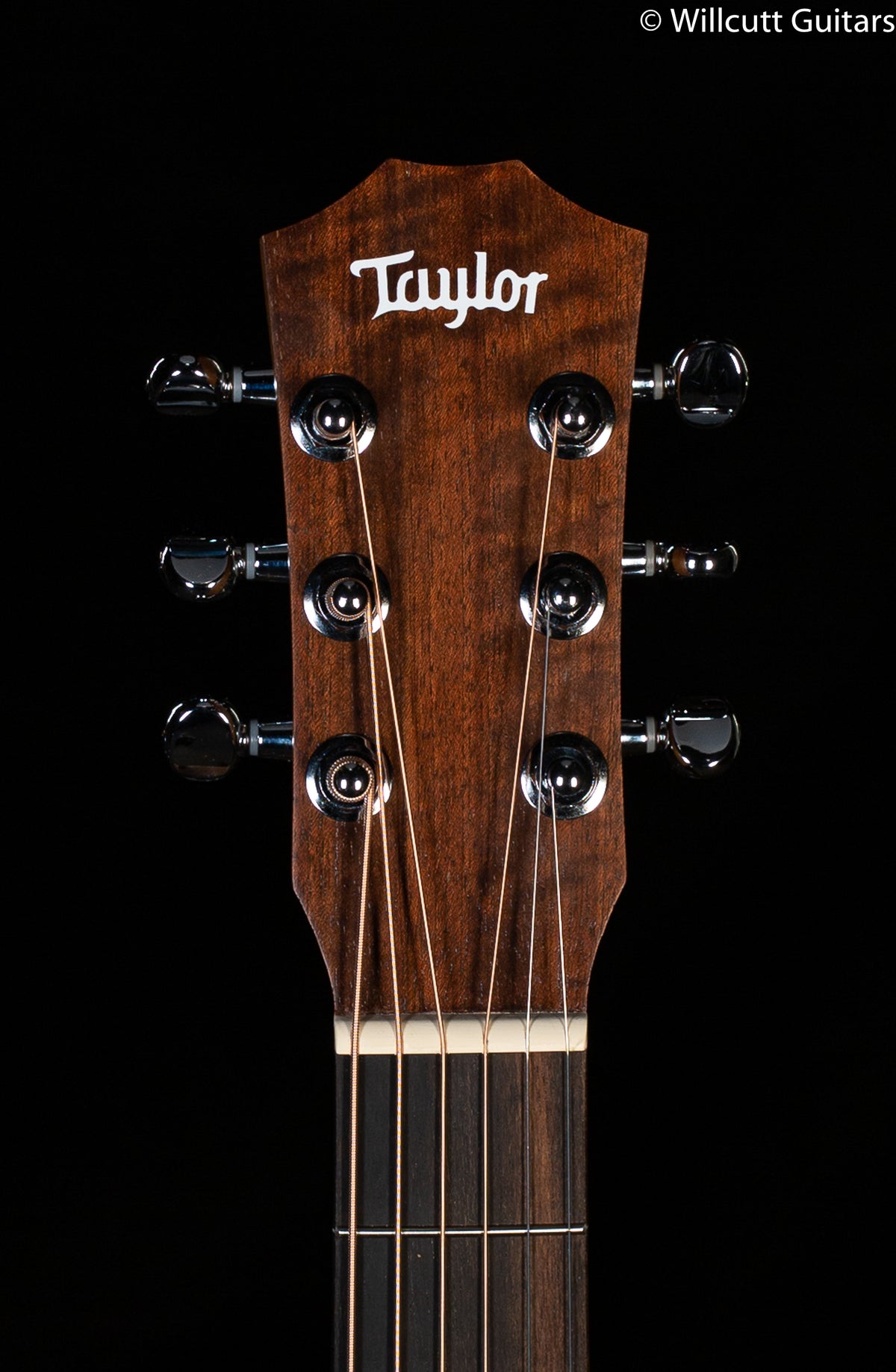 Taylor BT1e