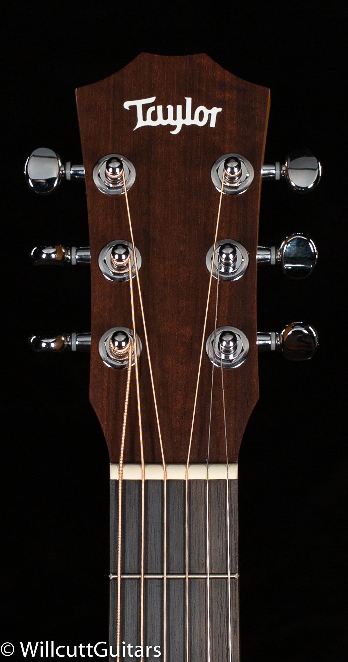 Taylor Baby BT-2 Mahogany (344)