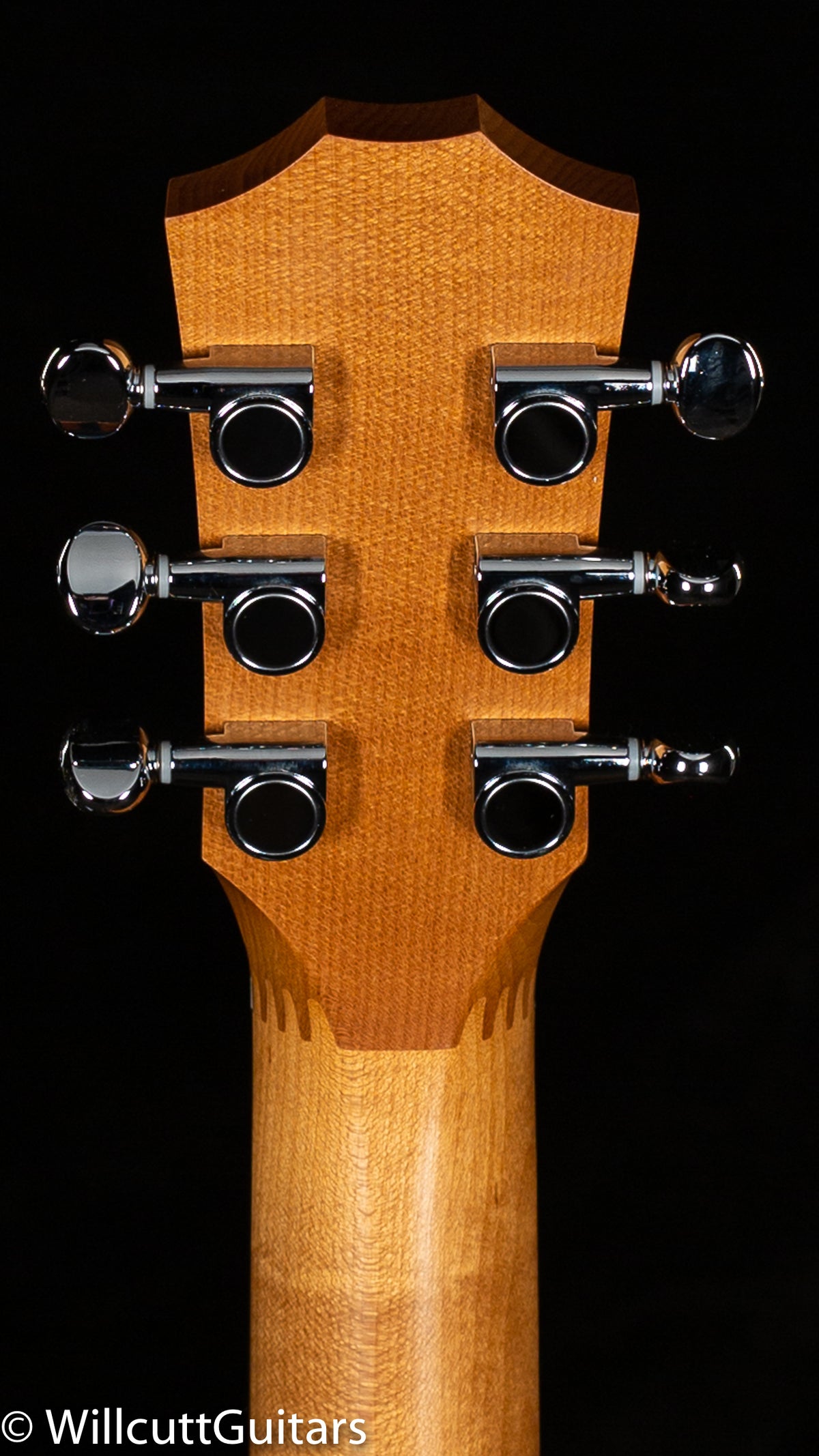 Taylor Baby BT-2 Mahogany (344)