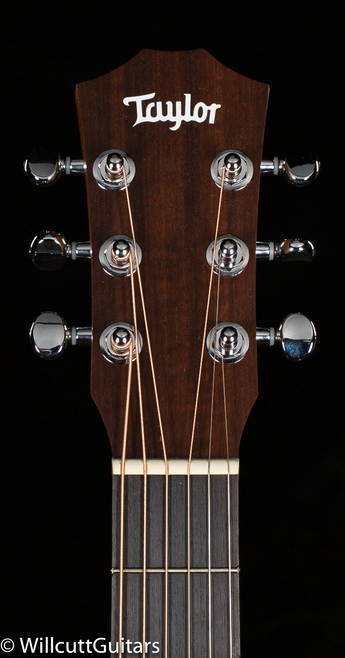 Taylor Baby BT-2 Mahogany (345)