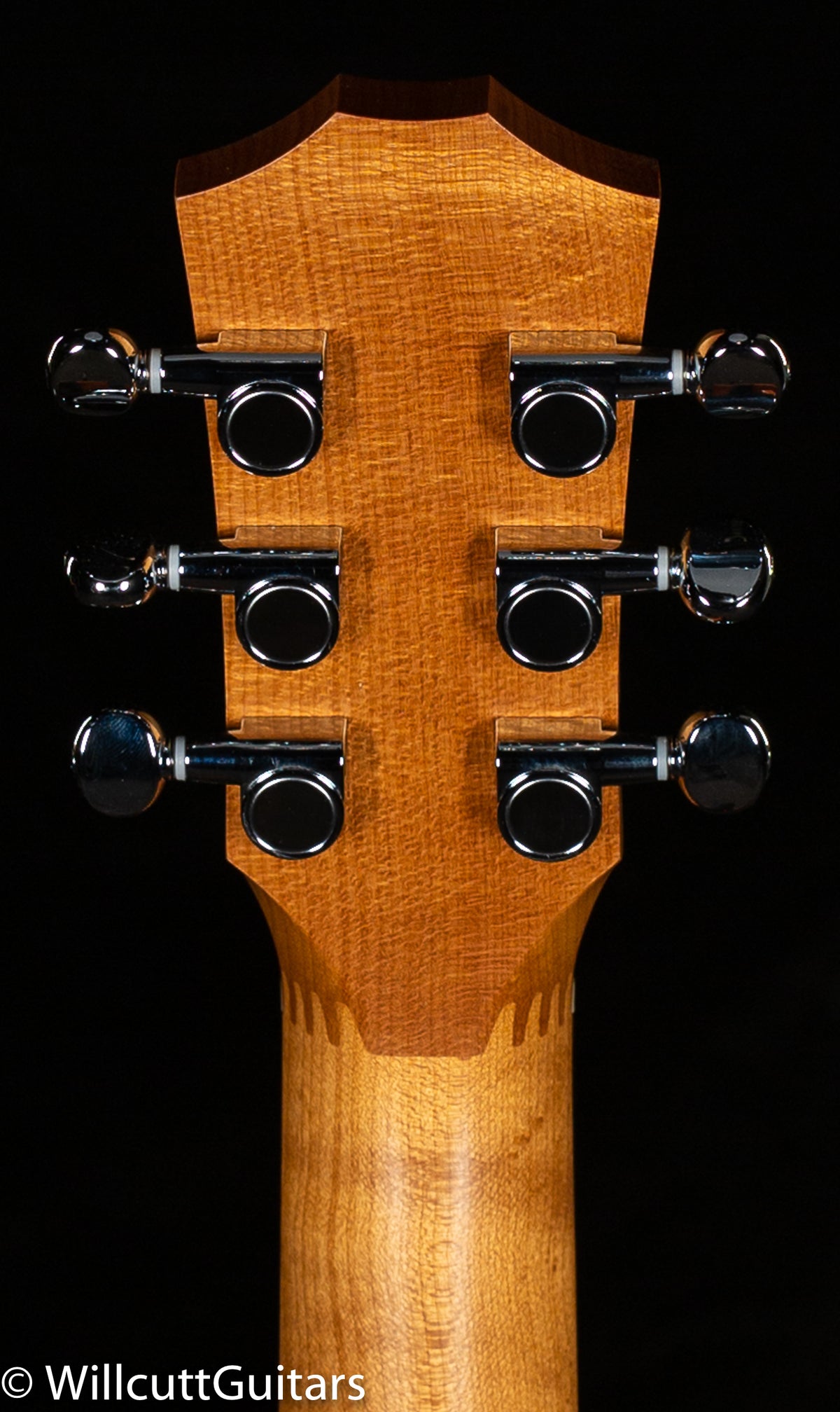 Taylor Baby BT-2 Mahogany (345)