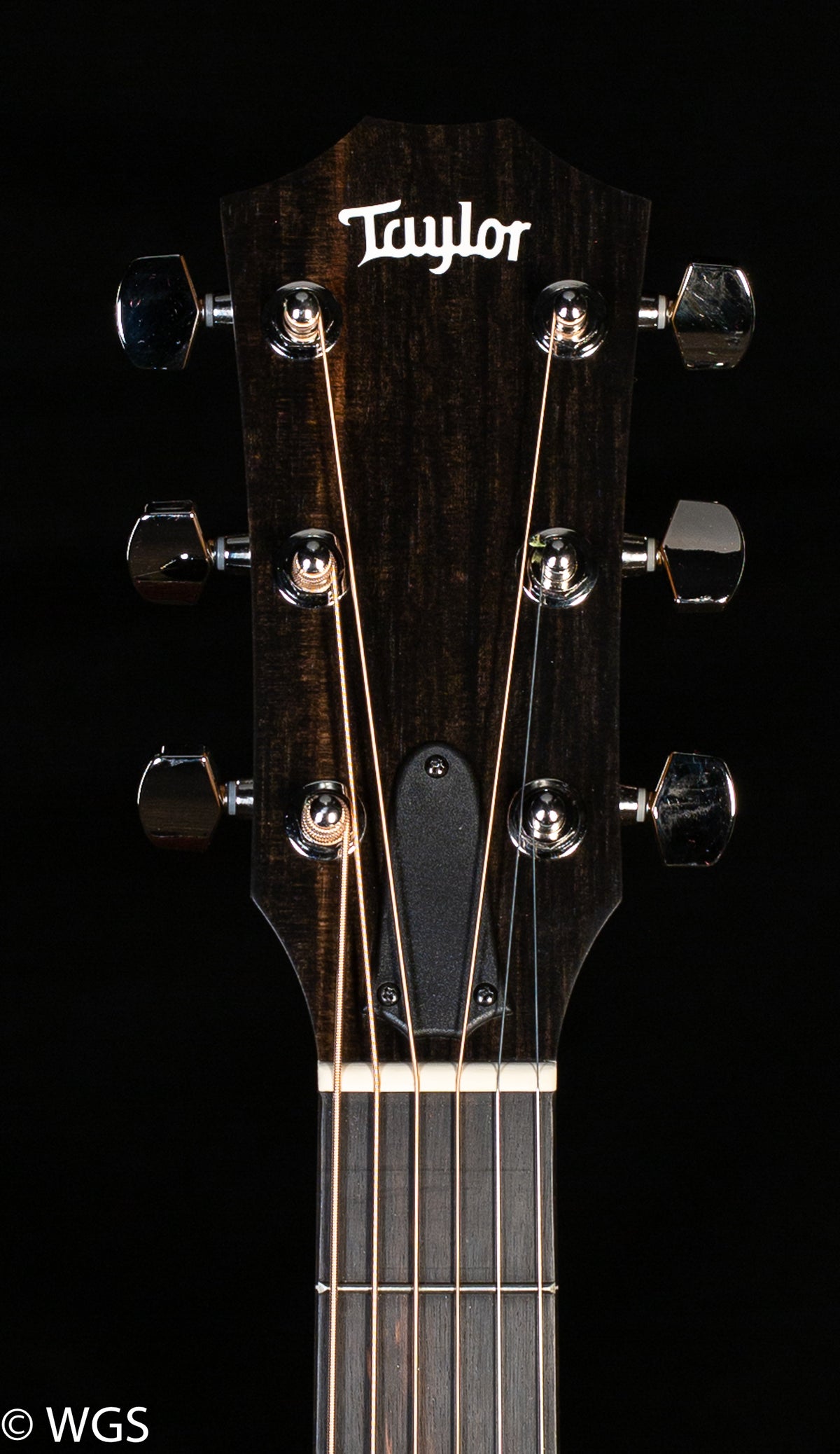 Taylor 210ce Plus (497)