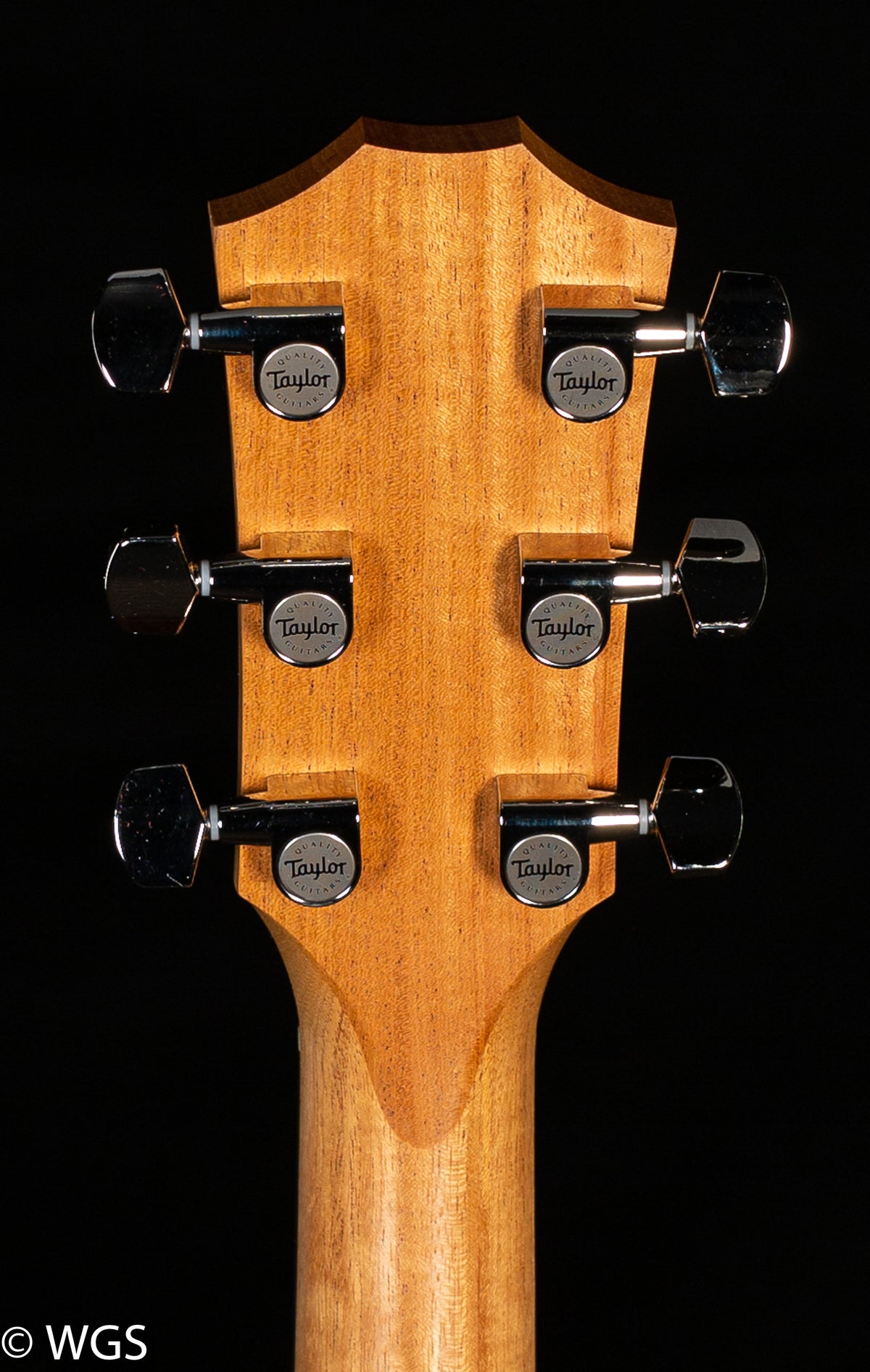 Taylor 210ce Plus (497)